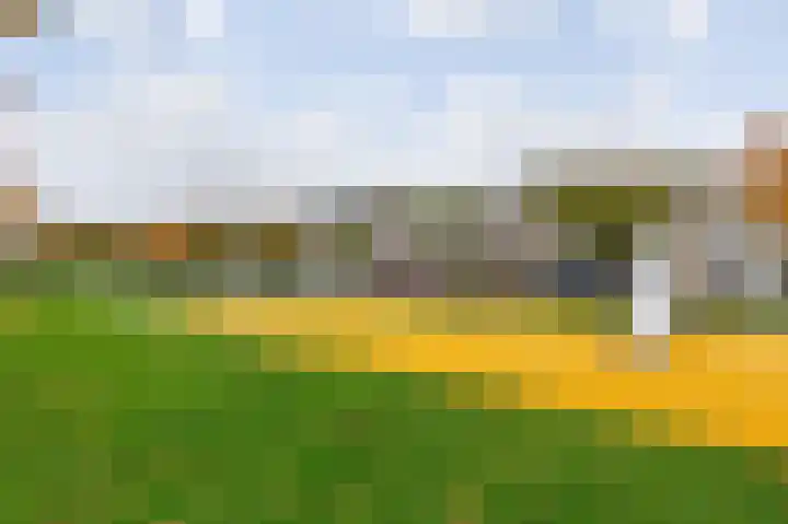 Bommelerwaard 92 Rotterdam thumbnail 35