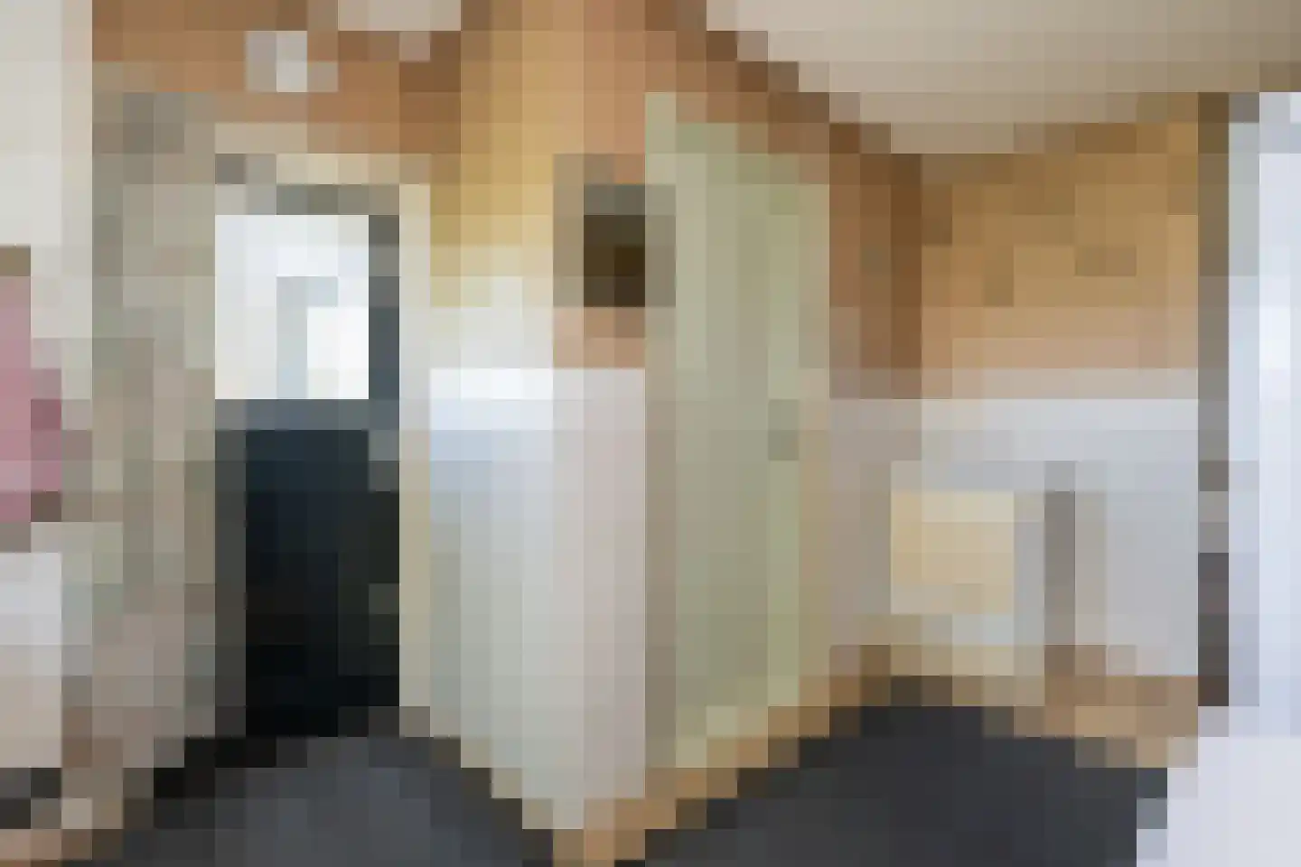 Bommelsedijk 28 Den Bommel thumbnail 12
