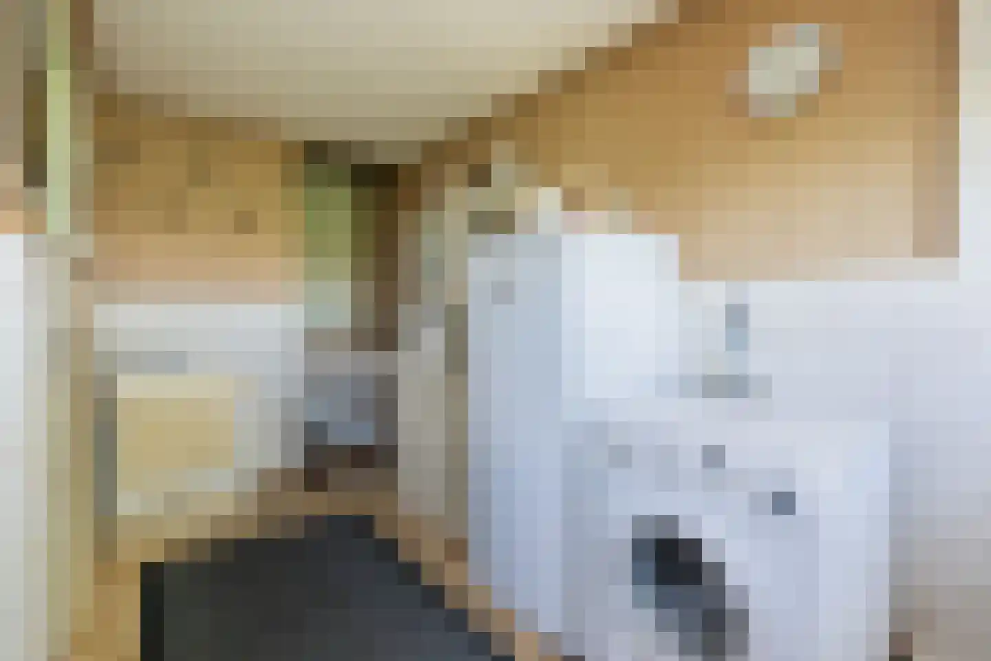 Bommelsedijk 28 Den Bommel thumbnail 13