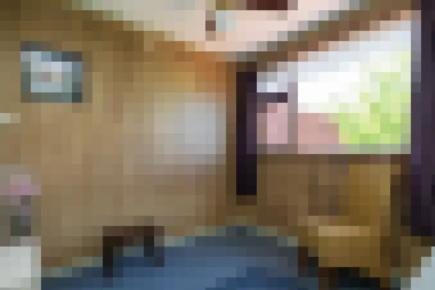 Bommelsedijk 28 Den Bommel thumbnail 18