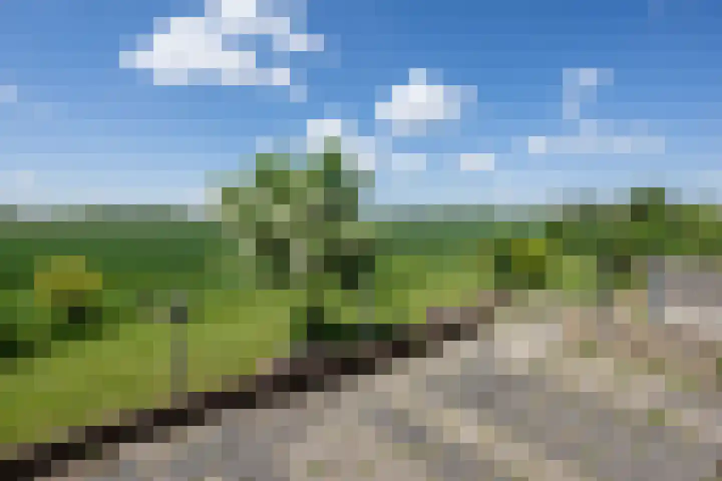 Bommelsedijk 28 Den Bommel thumbnail 20