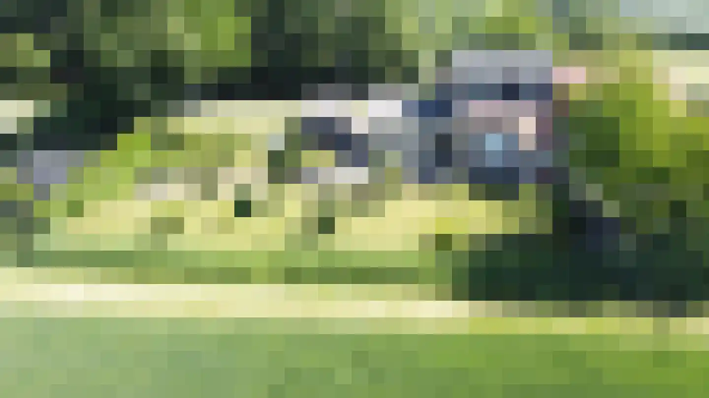 Bommelsedijk 28 Den Bommel thumbnail 26
