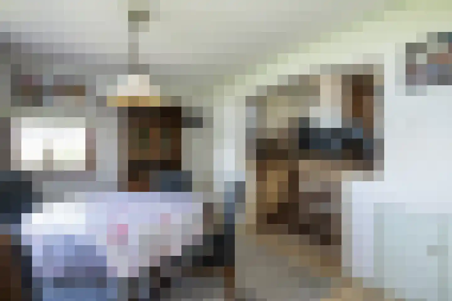 Bommelsedijk 28 Den Bommel thumbnail 8