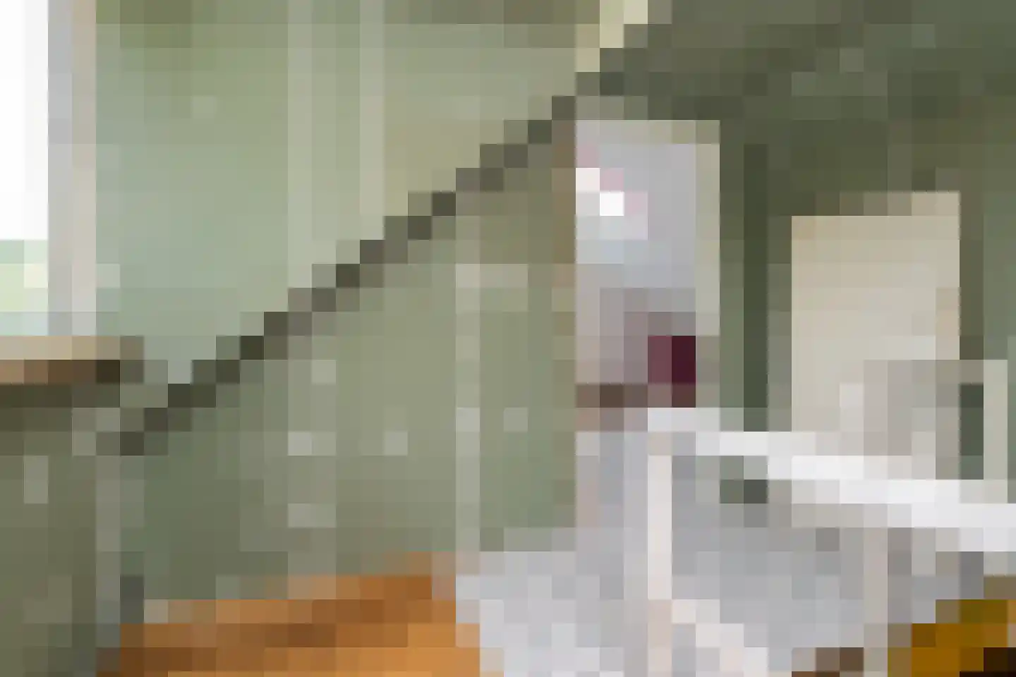 Bommelsedijk 30 Den Bommel thumbnail 18