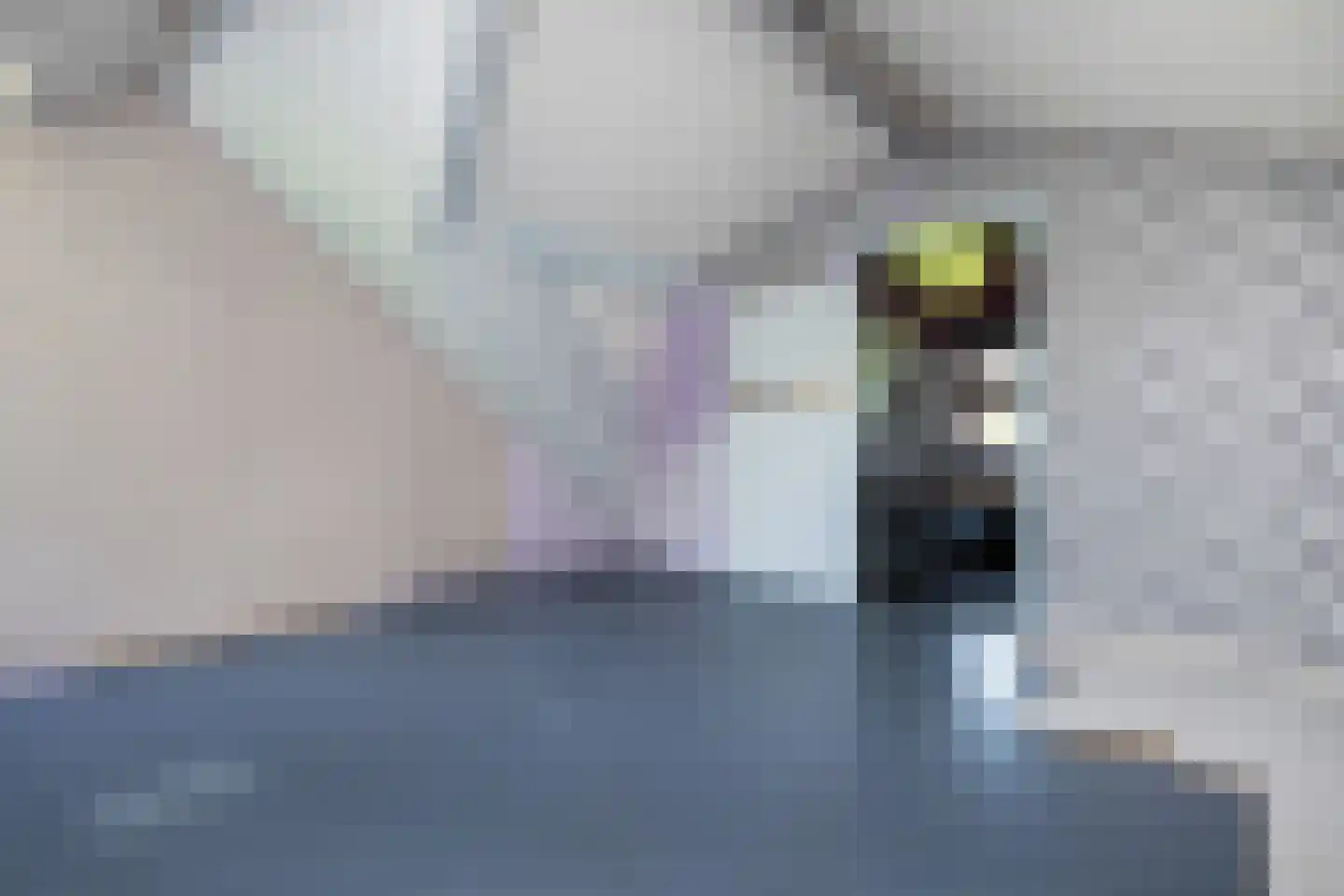 Bommelsedijk 30 Den Bommel thumbnail 23