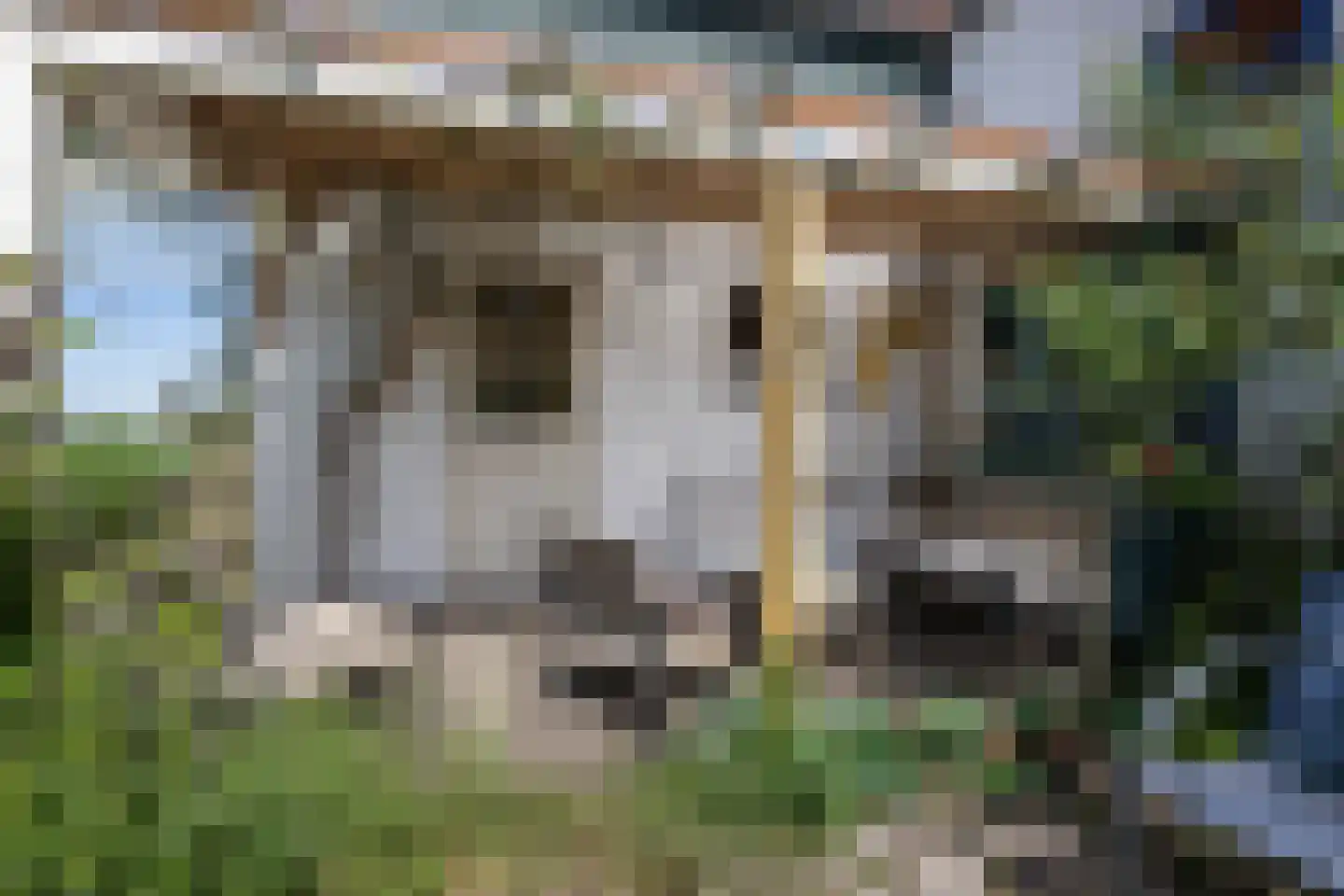 Bommelsedijk 30 Den Bommel thumbnail 26