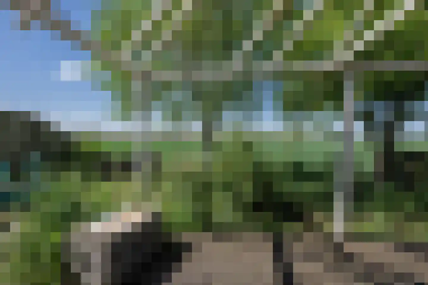 Bommelsedijk 30 Den Bommel thumbnail 28