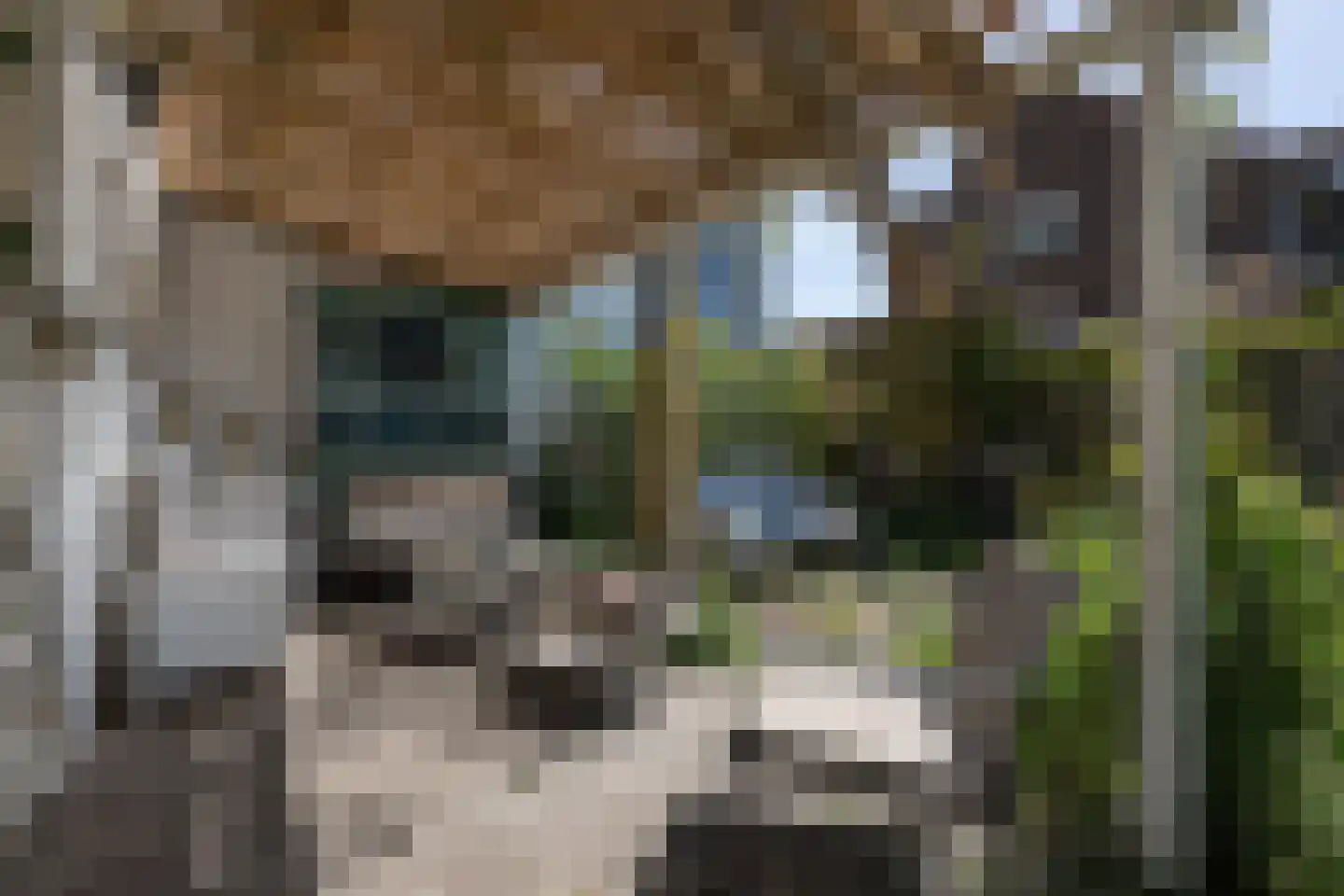 Bommelsedijk 30 Den Bommel thumbnail 29