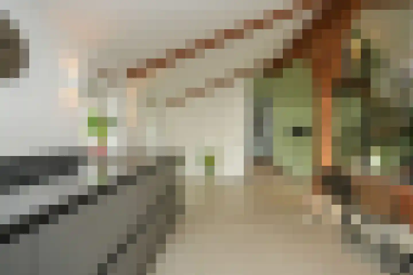 Bommelweg 1 Est thumbnail 15