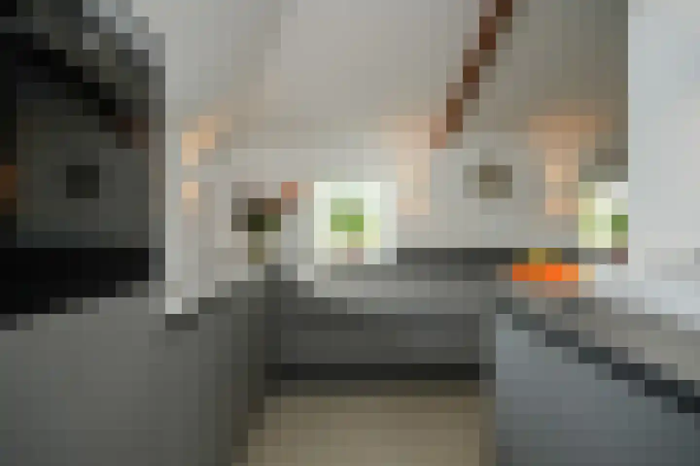 Bommelweg 1 Est thumbnail 16