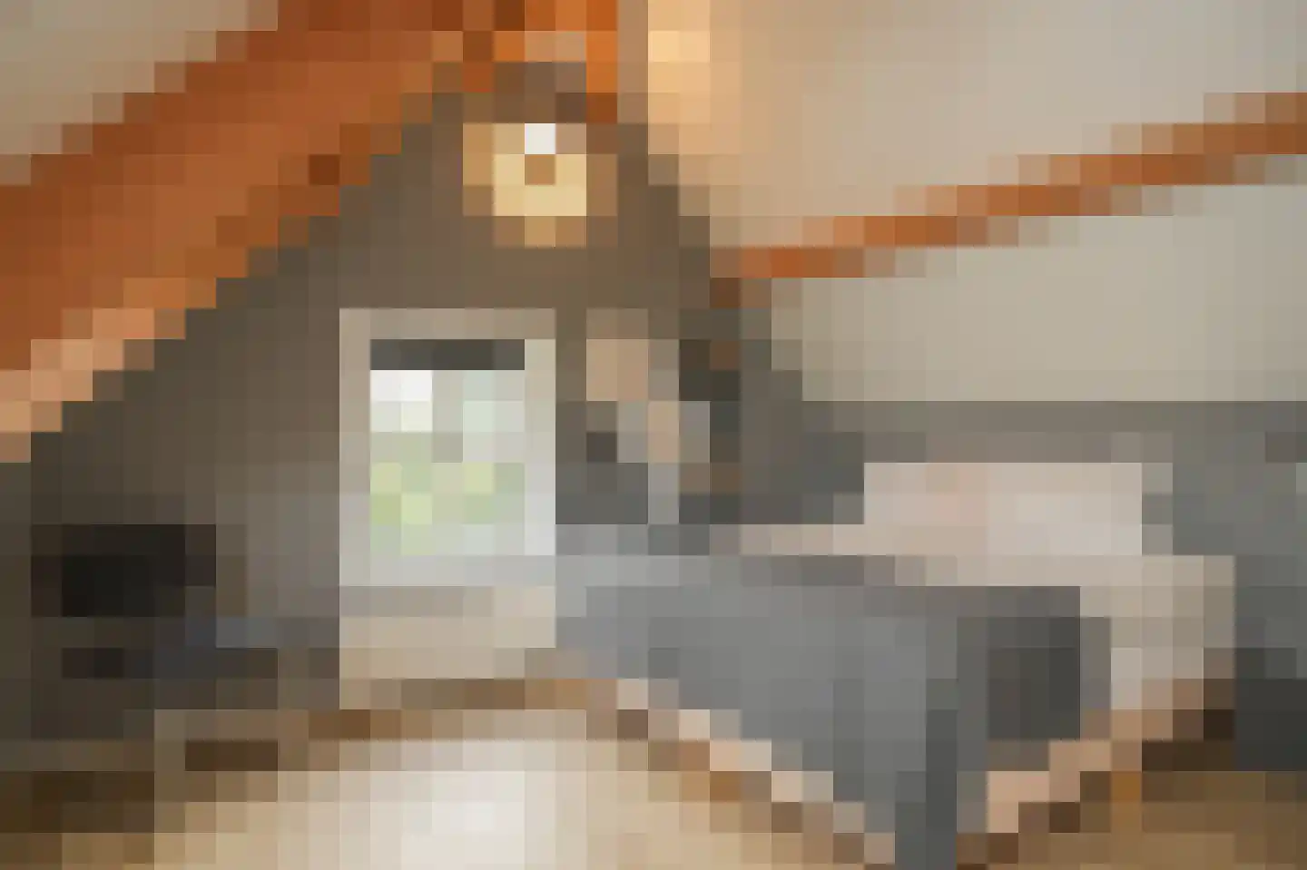 Bommelweg 1 Est thumbnail 27