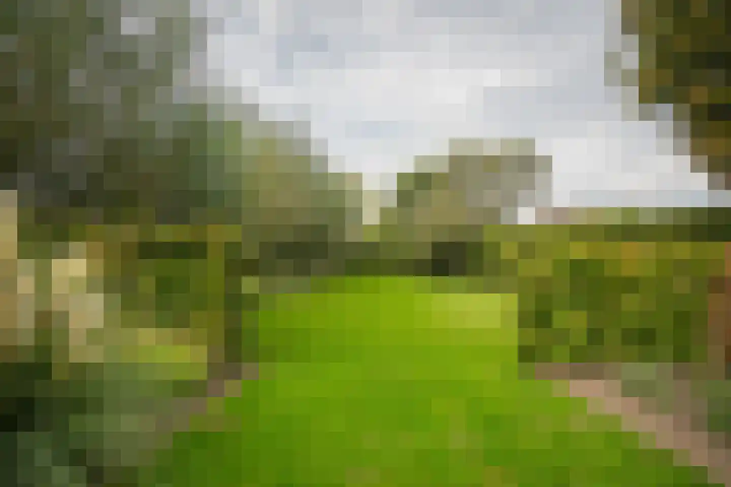 Bommelweg 1 Est foto 3