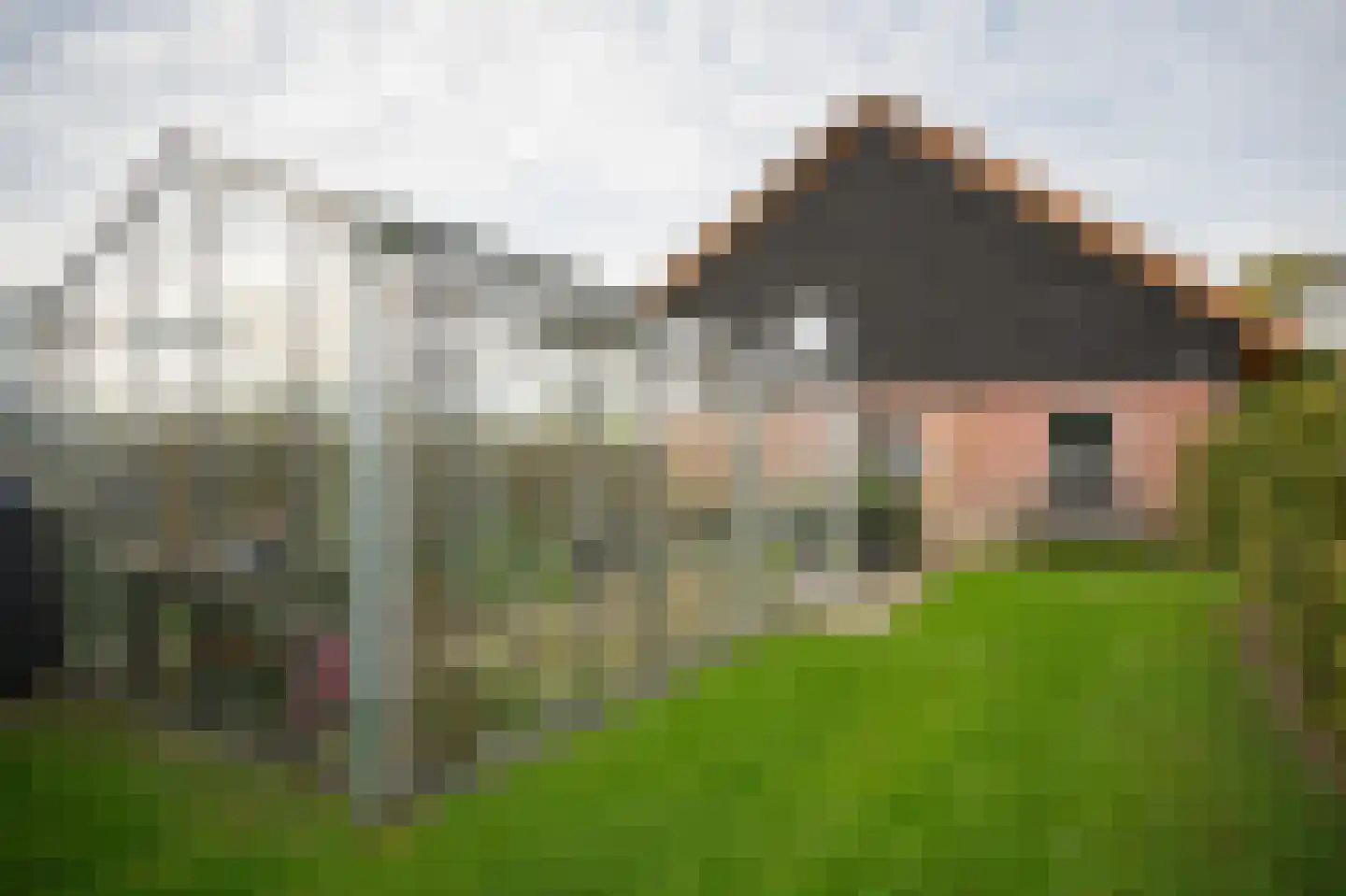 Bommelweg 1 Est thumbnail 38