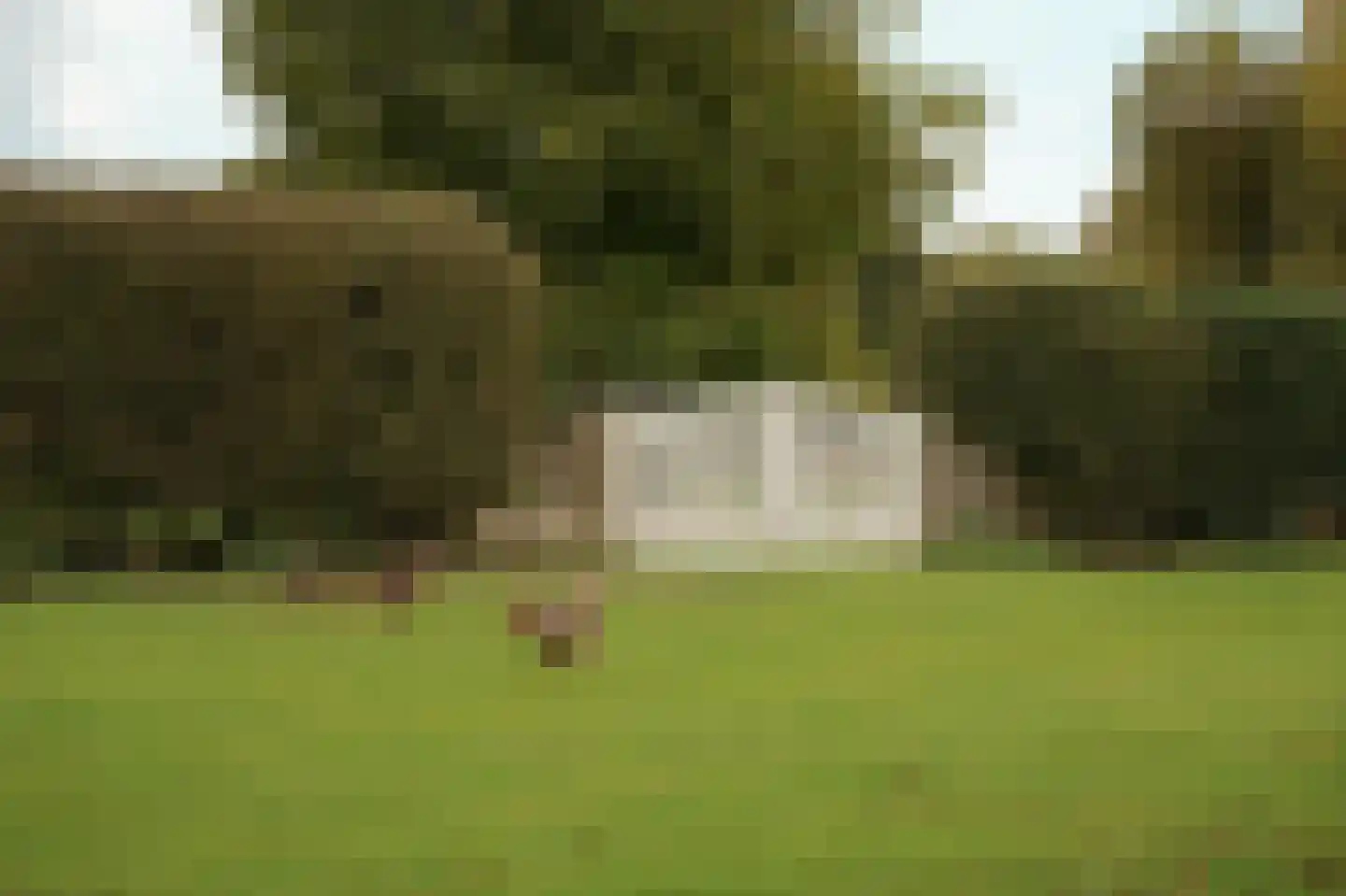 Bommelweg 1 Est thumbnail 45