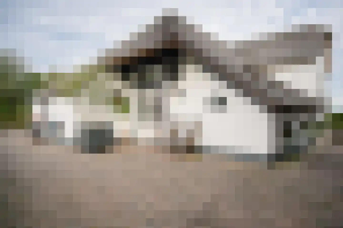 Bommelweg 1 Est thumbnail 6