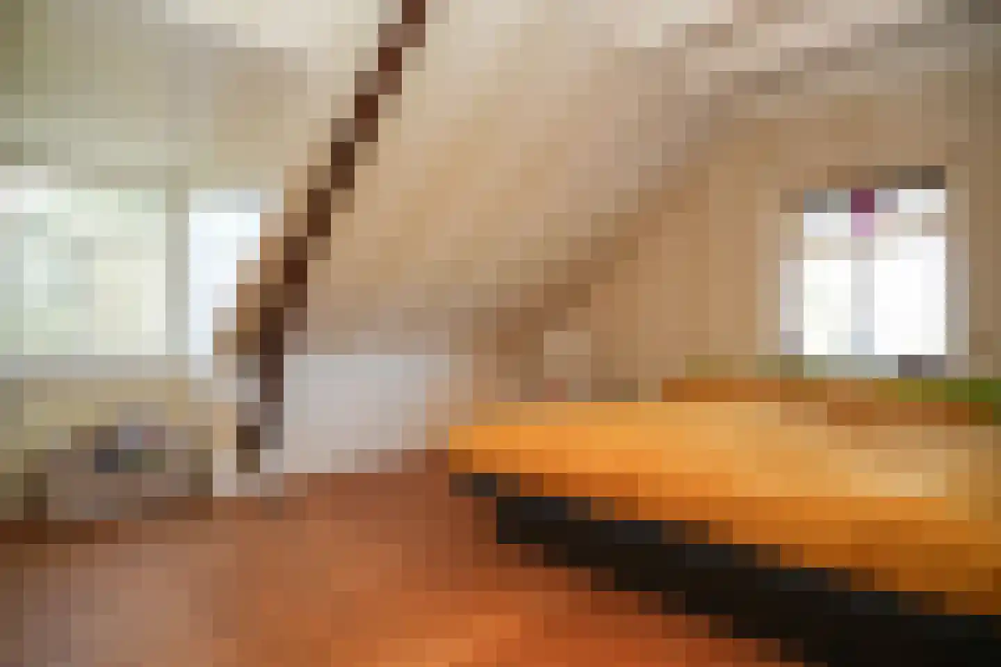 Bommelweg 1 Wadenoijen thumbnail 21