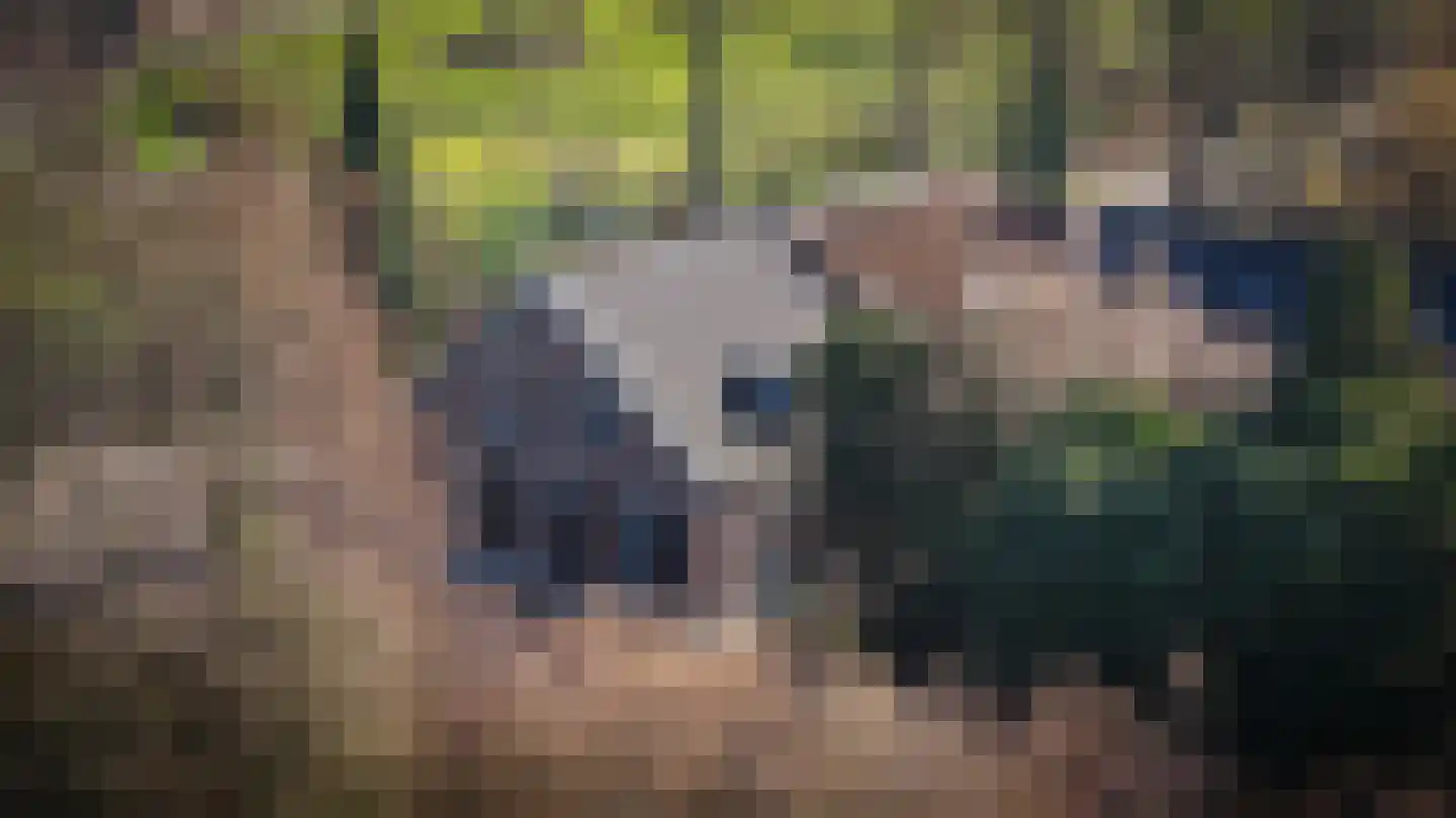 Bommelweg 1 Wadenoijen thumbnail 4