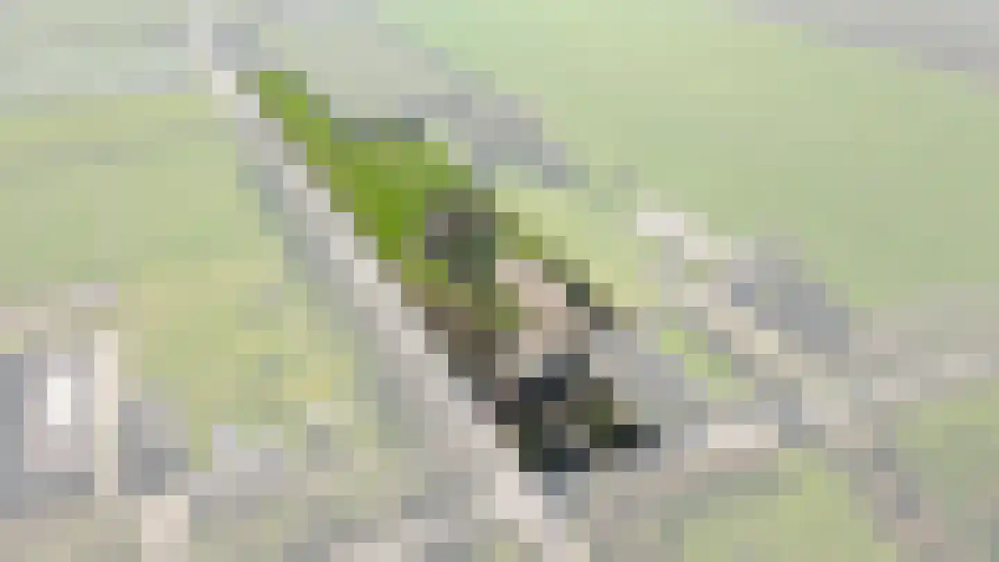 Bommelweg 1 Wadenoijen thumbnail 45