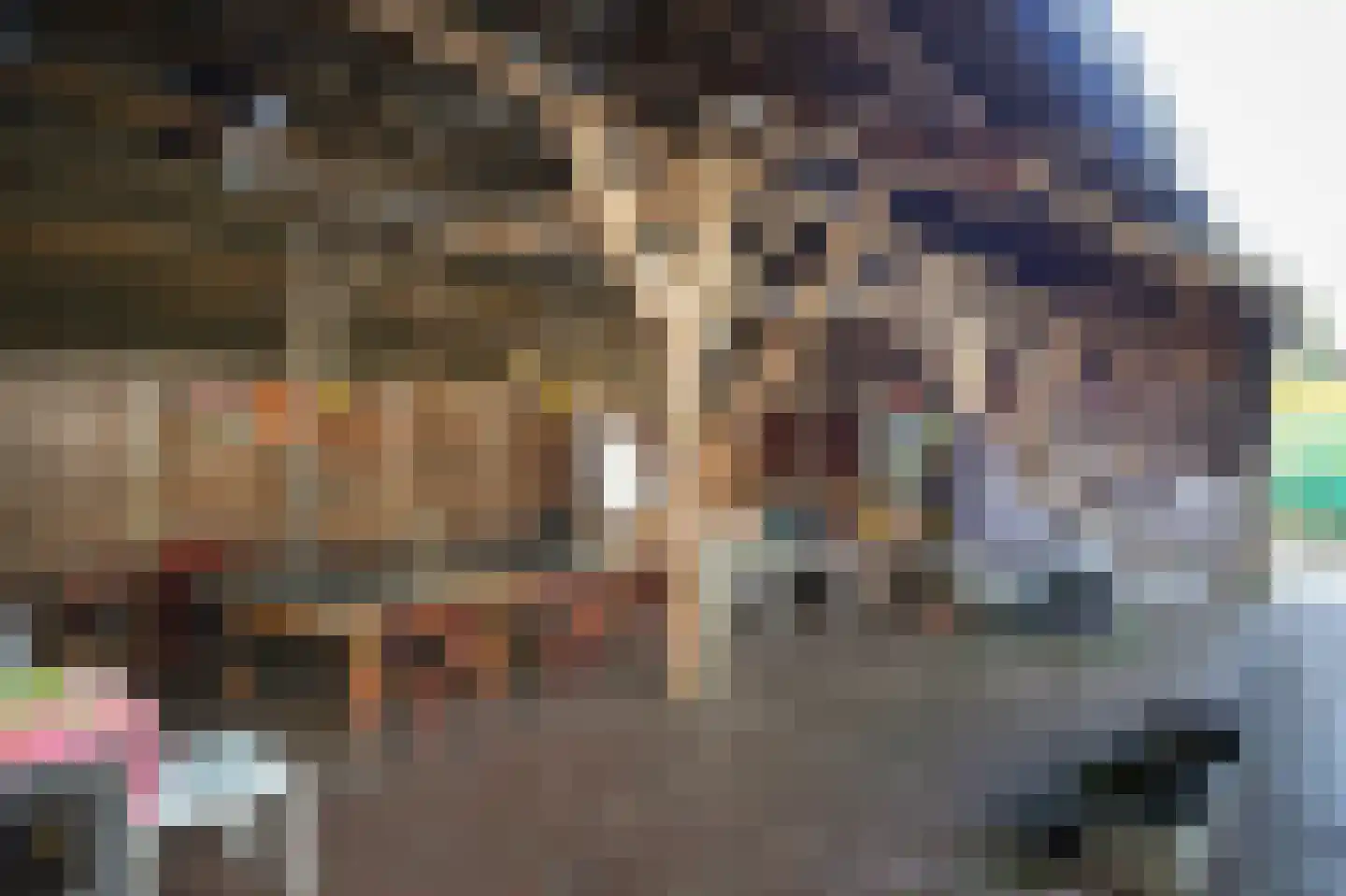 Bommelweg 1 Wadenoijen thumbnail 7