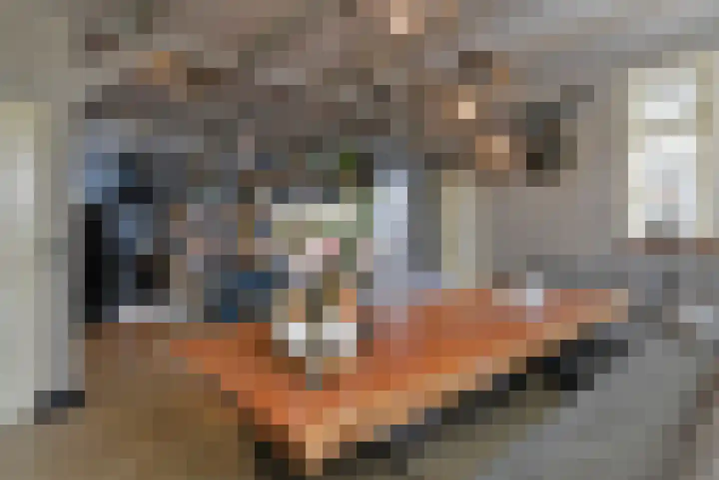 Bommelweg 13 Wadenoijen thumbnail 14