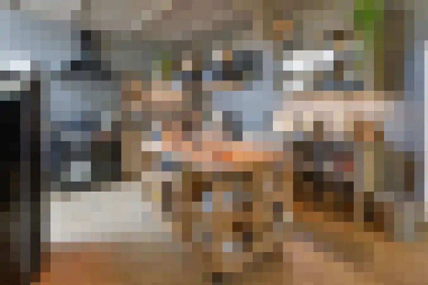 Bommelweg 13 Wadenoijen thumbnail 16