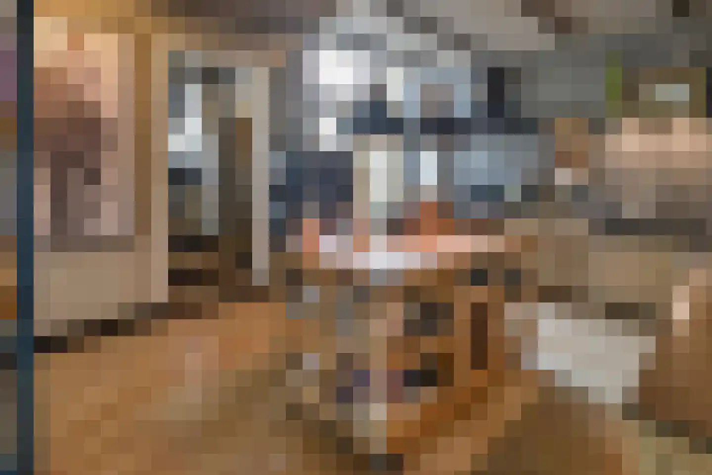 Bommelweg 13 Wadenoijen thumbnail 17