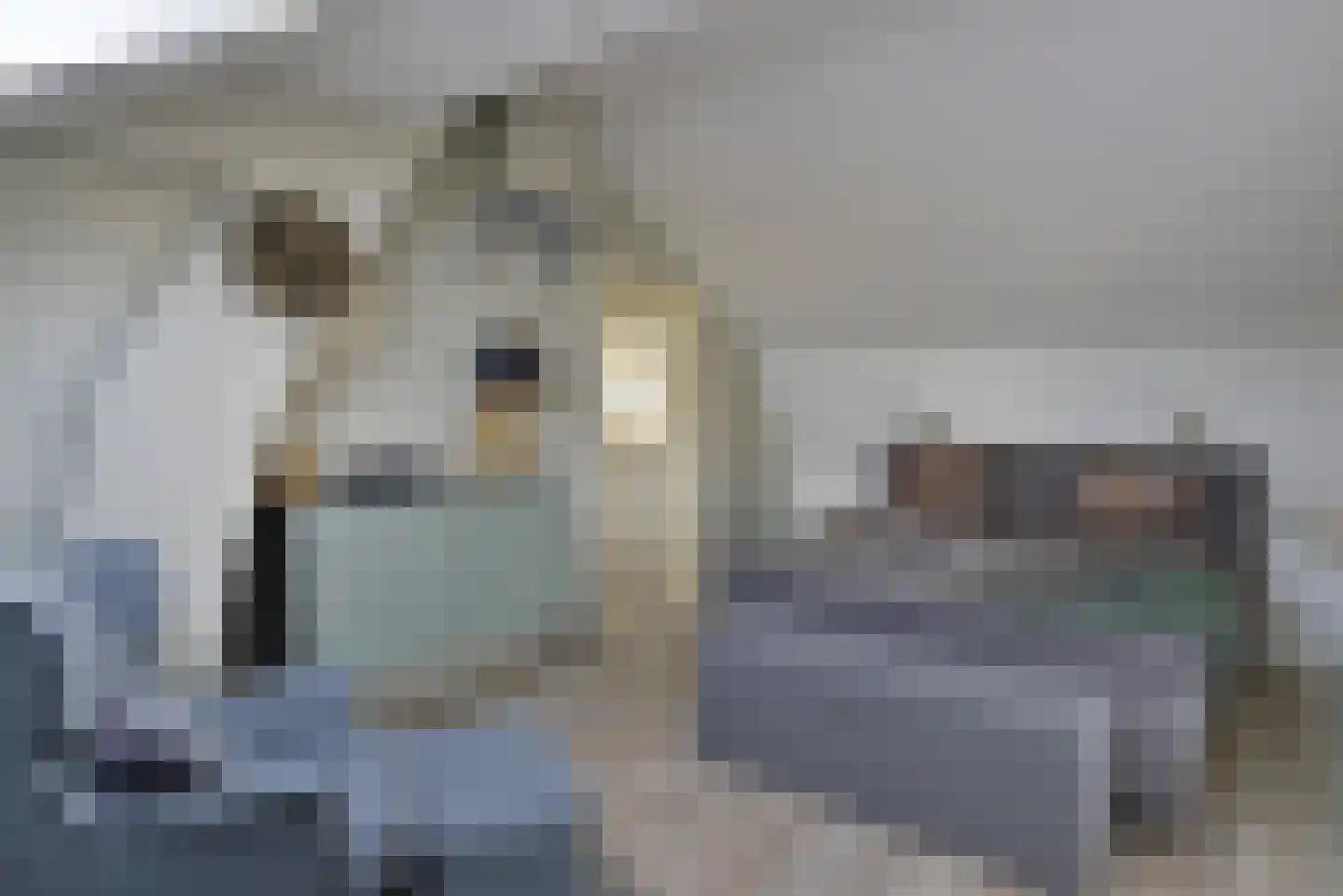 Bommelweg 13 Wadenoijen thumbnail 21