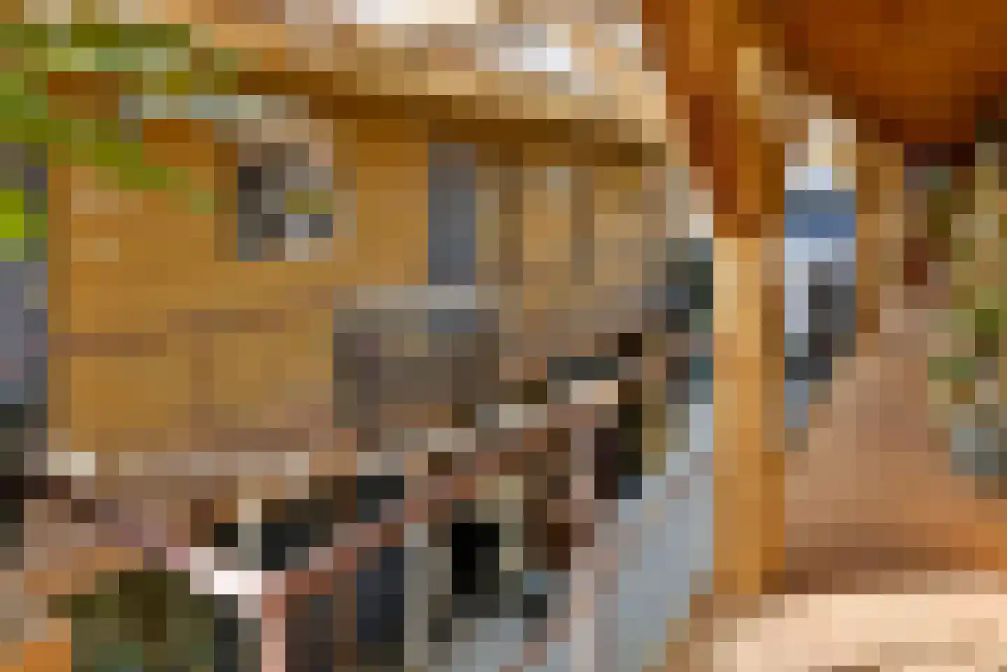 Bommelweg 13 Wadenoijen thumbnail 30