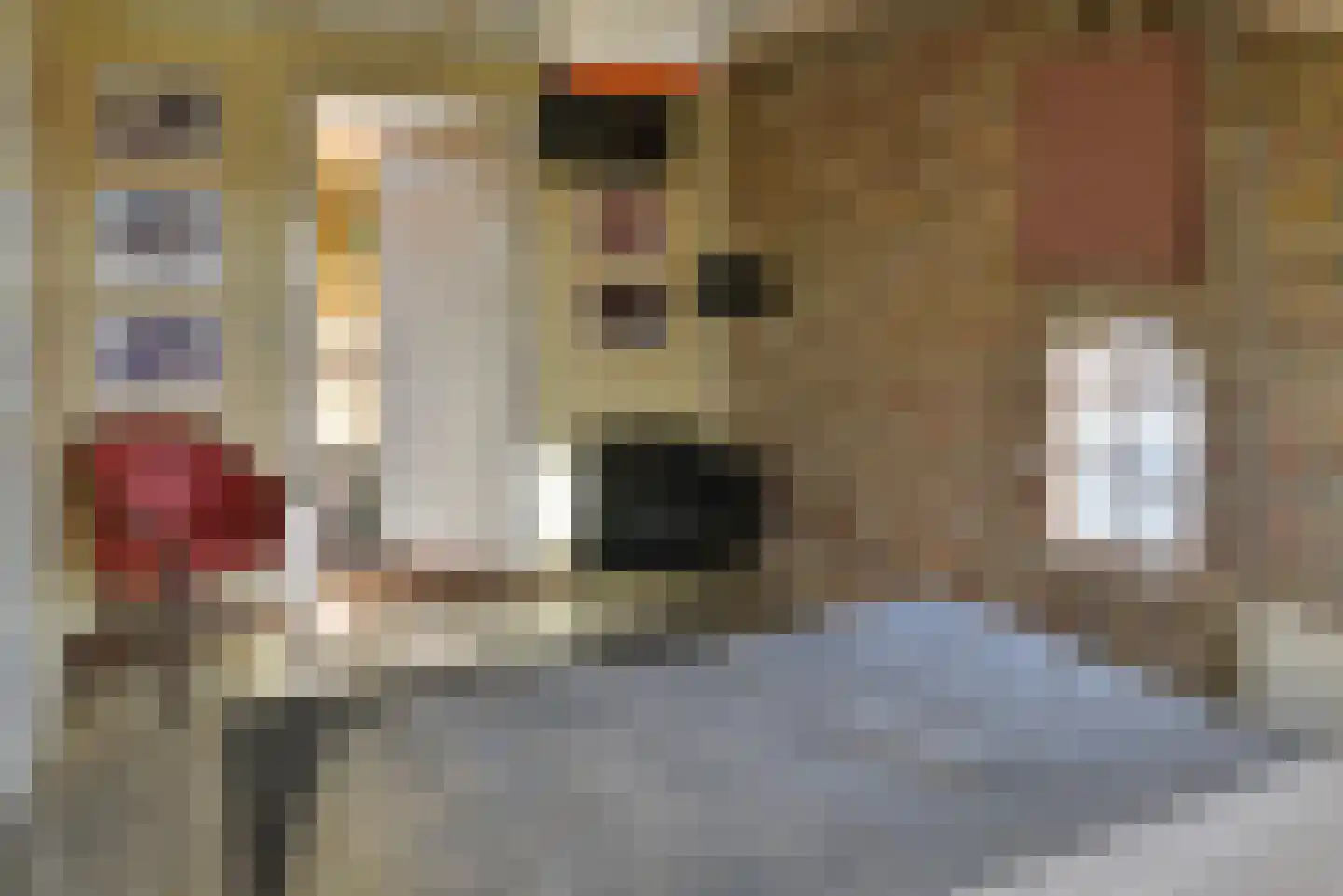 Bommelweg 13 Wadenoijen thumbnail 40