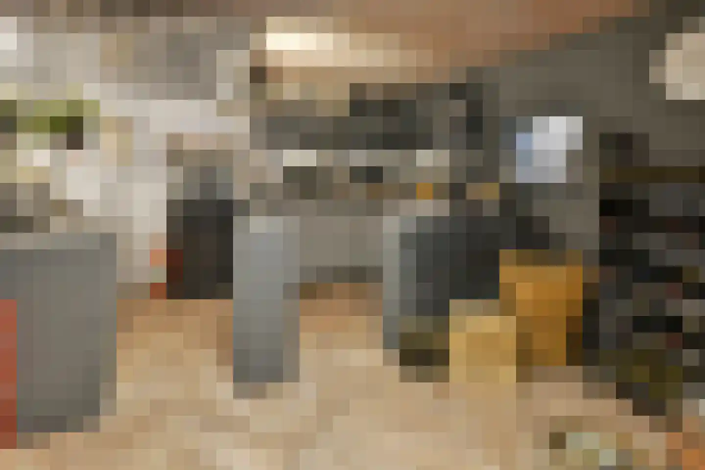 Bommelweg 13 Wadenoijen thumbnail 47