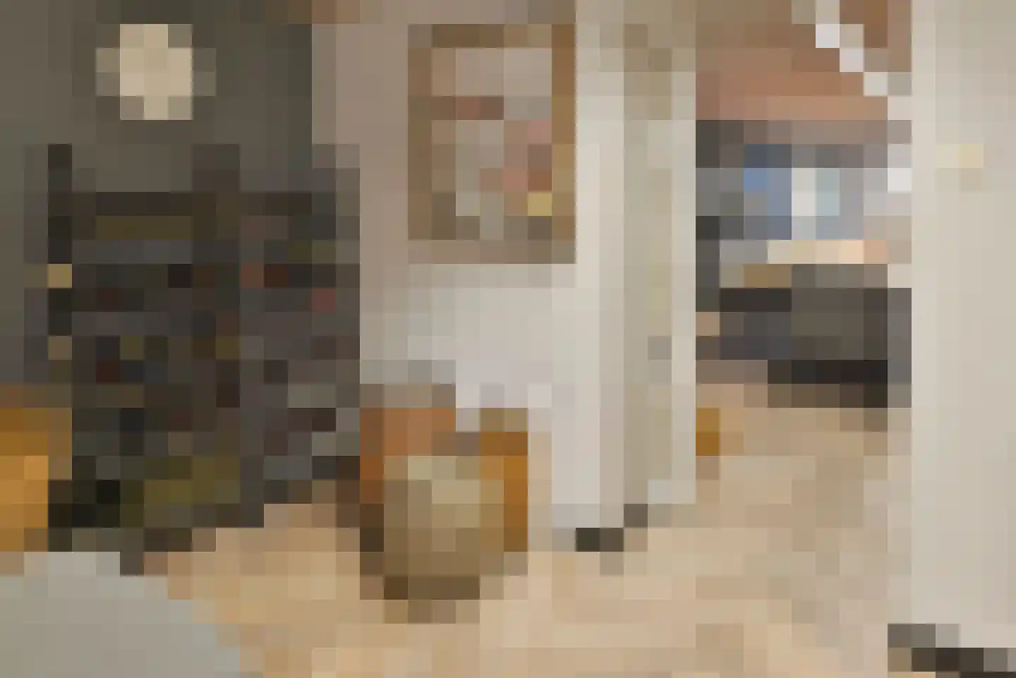 Bommelweg 13 Wadenoijen thumbnail 48