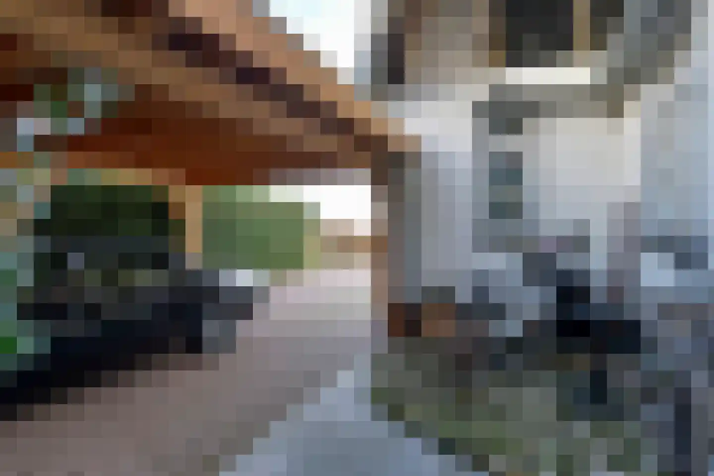 Bommelweg 13 Wadenoijen thumbnail 6