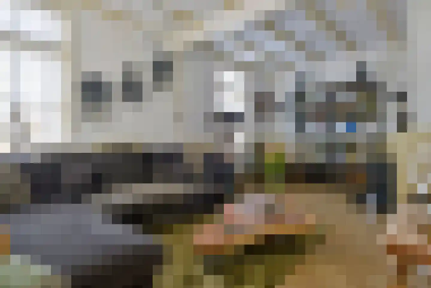 Bommelweg 13 Wadenoijen thumbnail 8