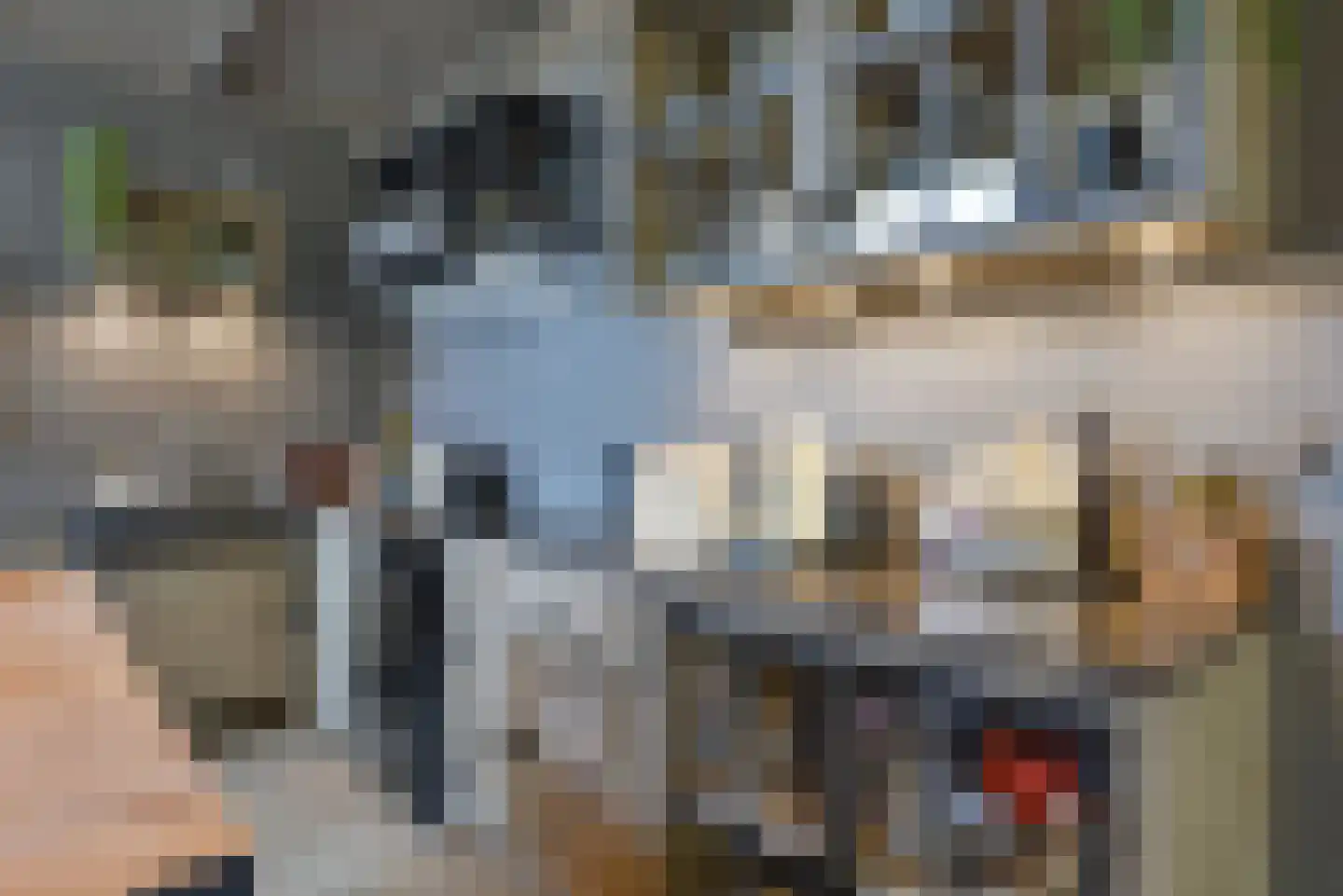 Bommelweg 13 Wadenoijen thumbnail 9