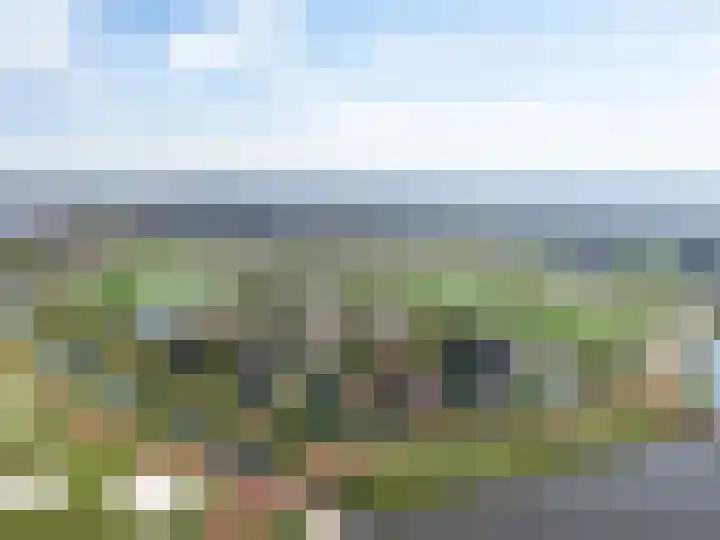 Bommelweg 4 Meteren thumbnail 4