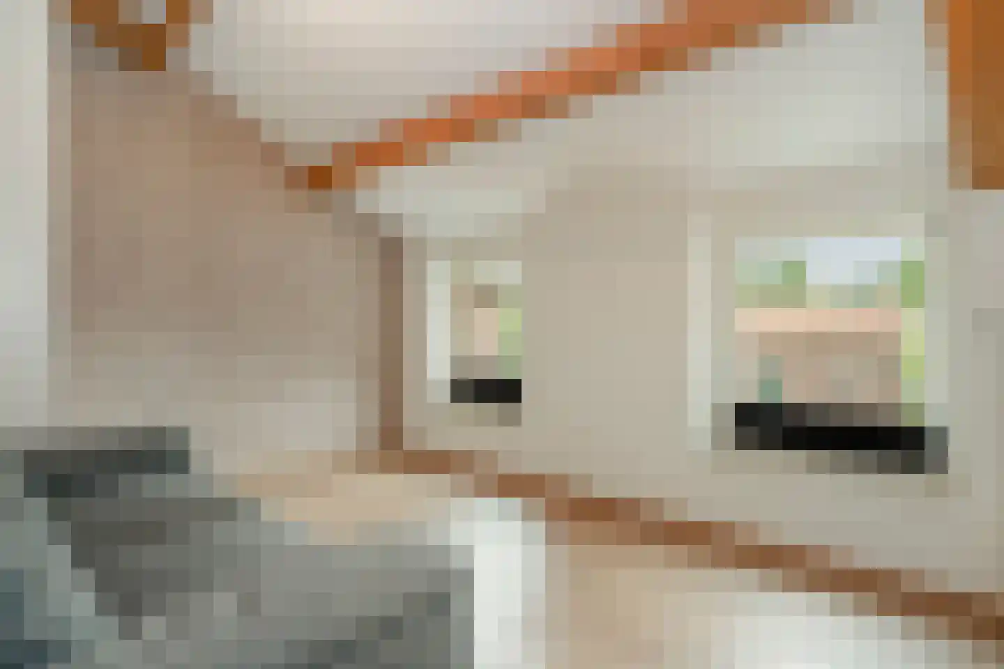 Bommerigerweg 26 B Mechelen thumbnail 47