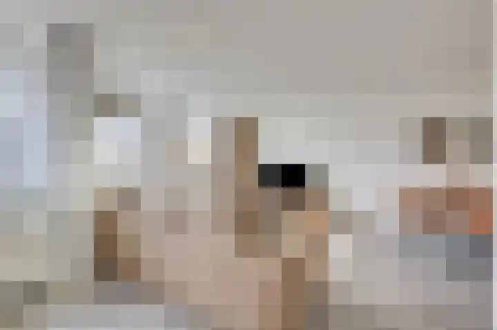 Bommersheufsestraat 21 Zevenaar thumbnail 23