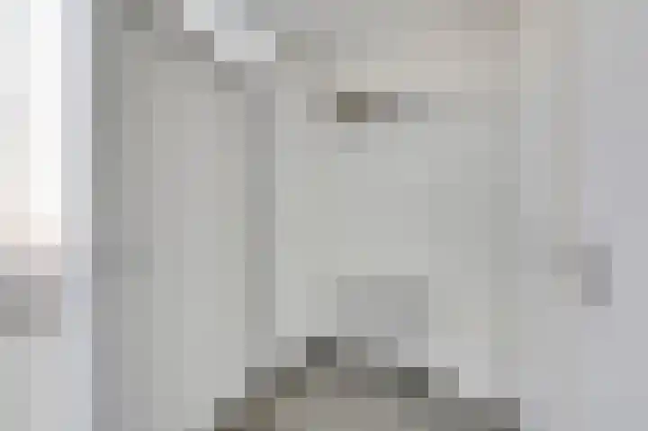 Bommersheufsestraat 21 Zevenaar thumbnail 31