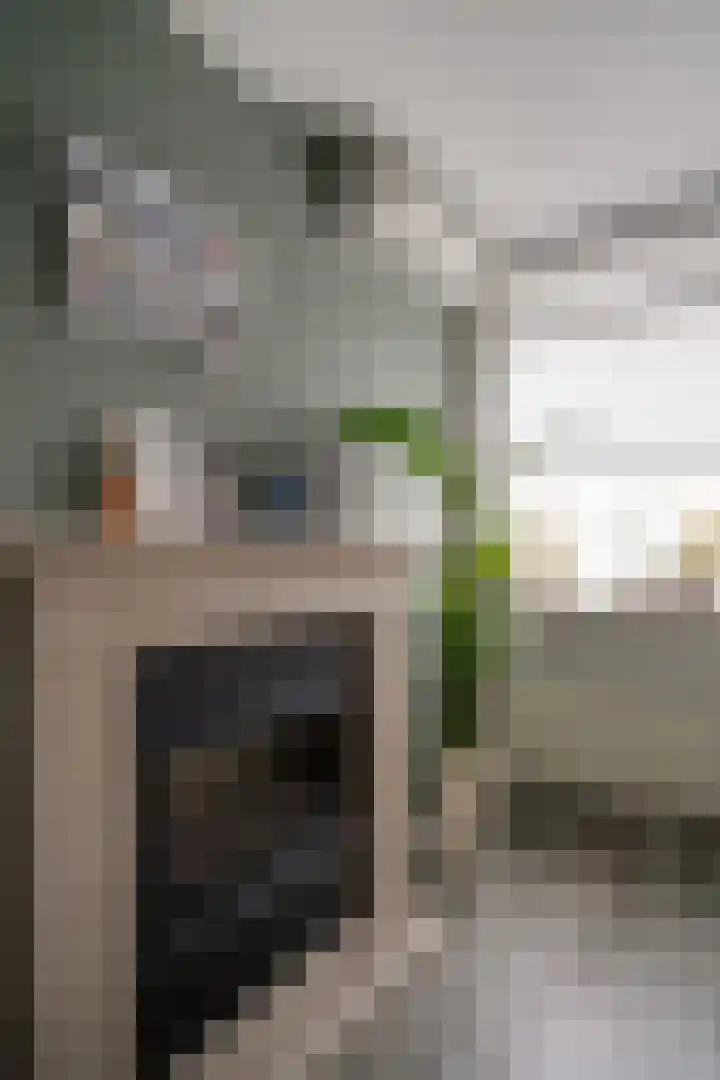 Bommersheufsestraat 25 Zevenaar thumbnail 17