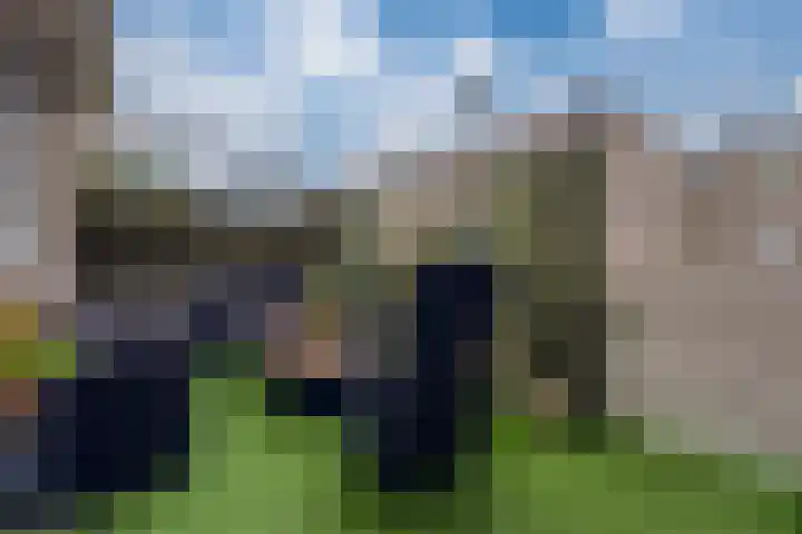 Bommersheufsestraat 25 Zevenaar thumbnail 25