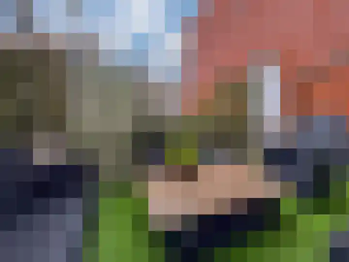 Bommersheufsestraat 25 Zevenaar thumbnail 26