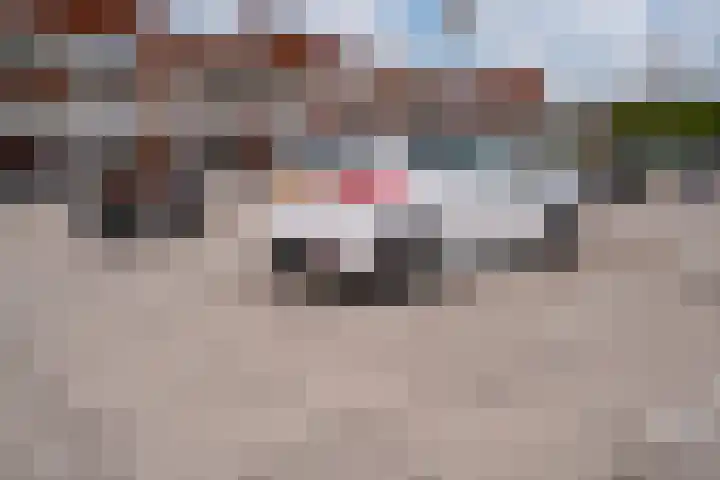 Bommersheufsestraat 25 Zevenaar thumbnail 43