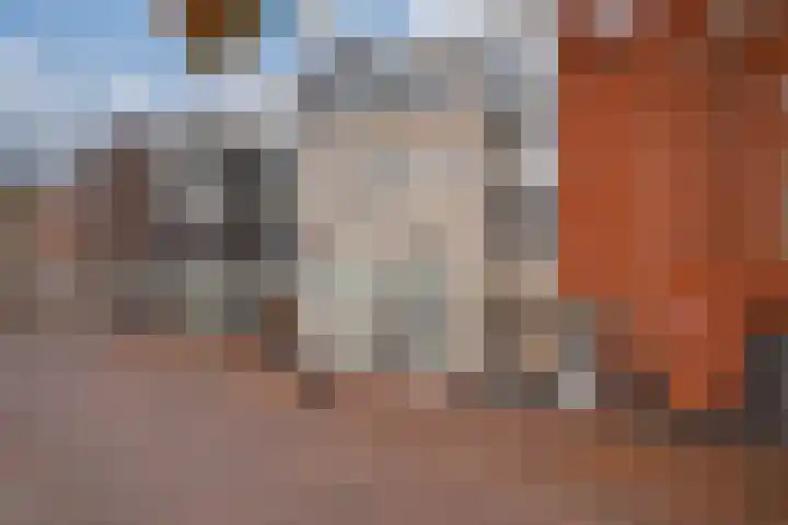 Bommersheufsestraat 25 Zevenaar thumbnail 6