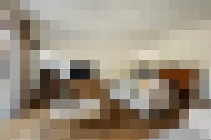 Bomschuit 8 Woerden thumbnail 10
