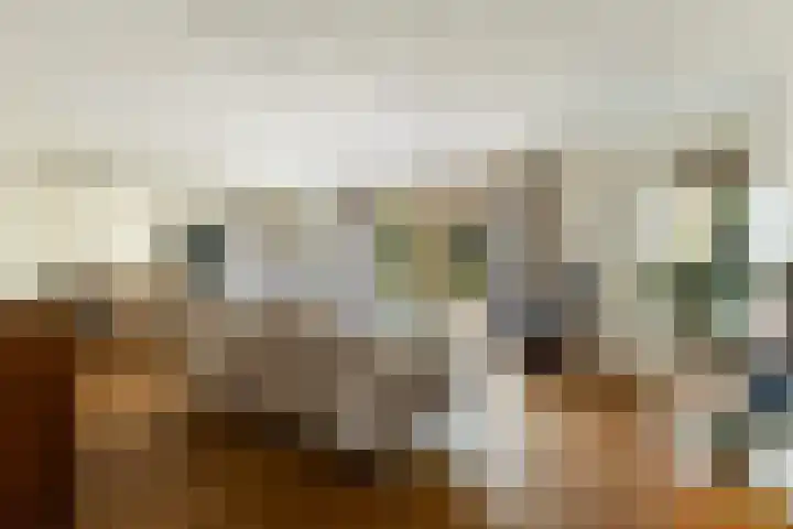 Bomschuit 8 Woerden thumbnail 12