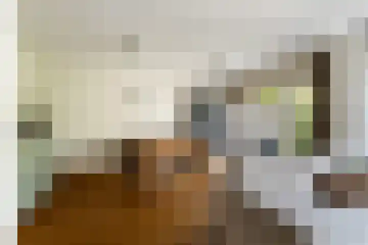 Bomschuit 8 Woerden thumbnail 14