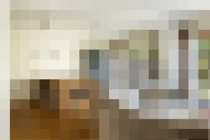 Bomschuit 8 Woerden thumbnail 15