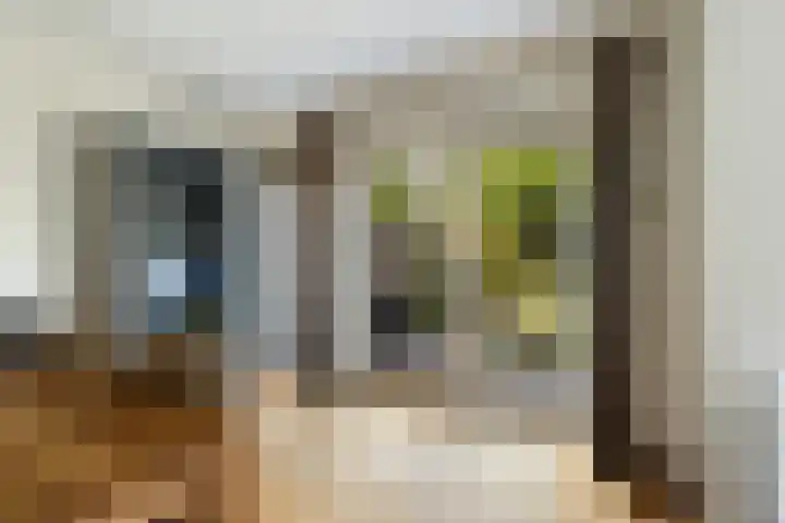 Bomschuit 8 Woerden thumbnail 16