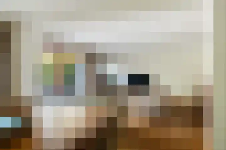 Bomschuit 8 Woerden thumbnail 18