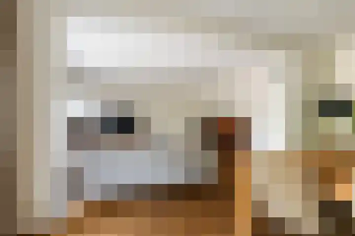 Bomschuit 8 Woerden thumbnail 19
